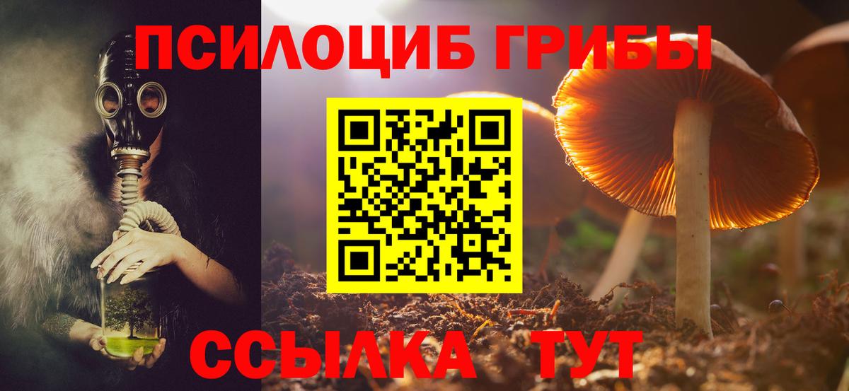 Артём  Галлюциногенные грибы Psilocybine cubensis  Вход с VPN 